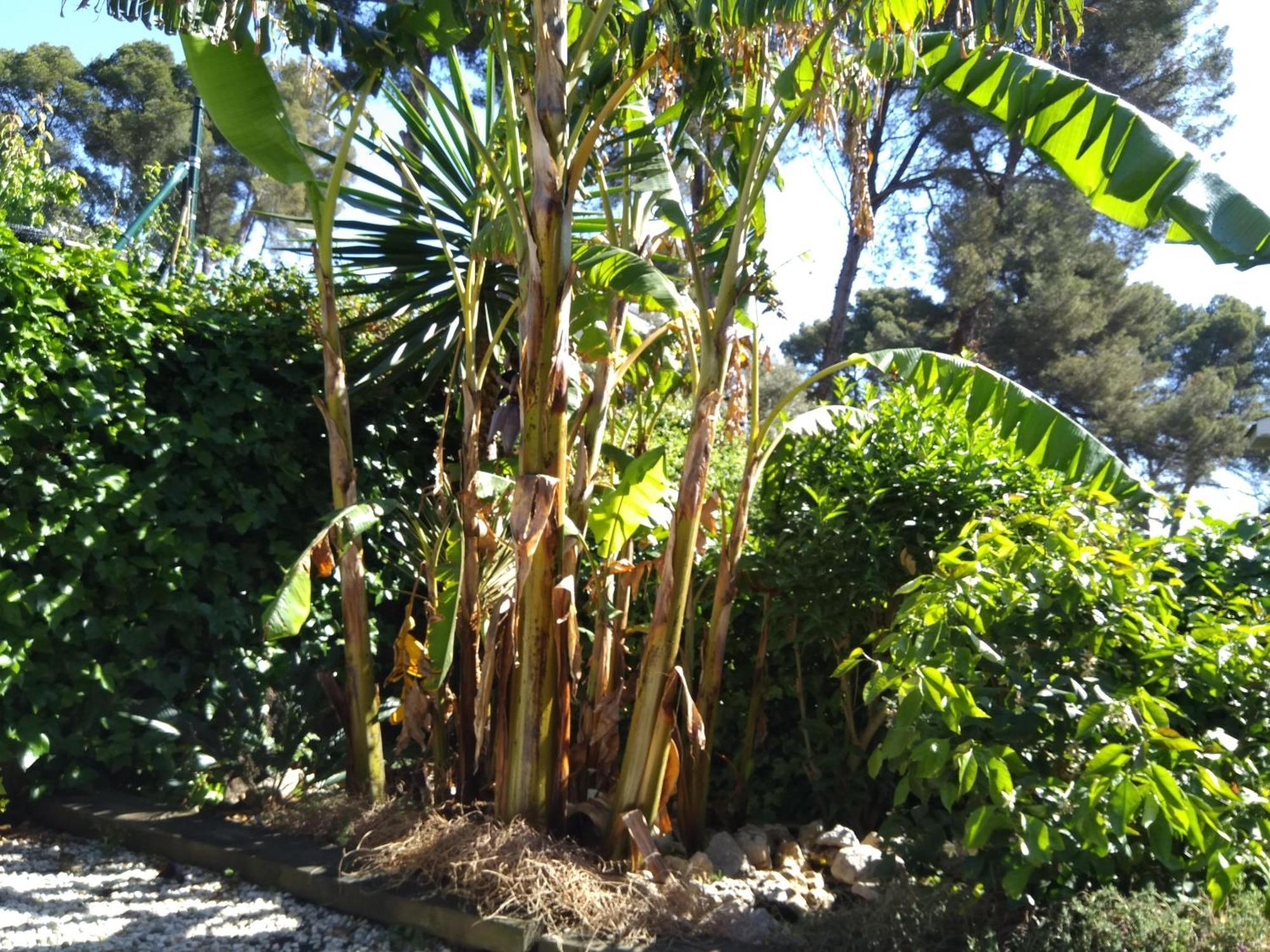 Villa Del Bosque Castelldefels Luaran gambar